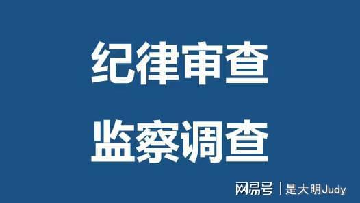 今日打虎最新动态，揭秘故事背后的进展与真相